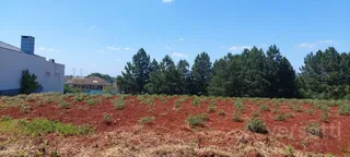 Terreno, foto 1