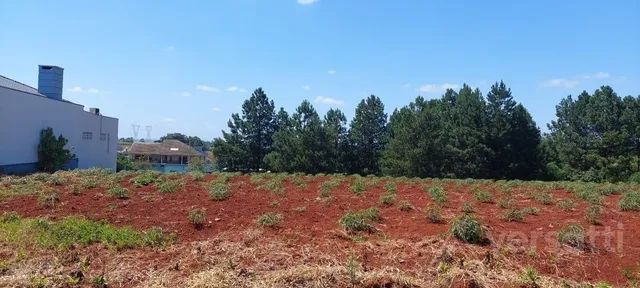 Terreno