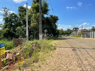Vista externa de uma propriedade com vegetação densa e estrada de terra.