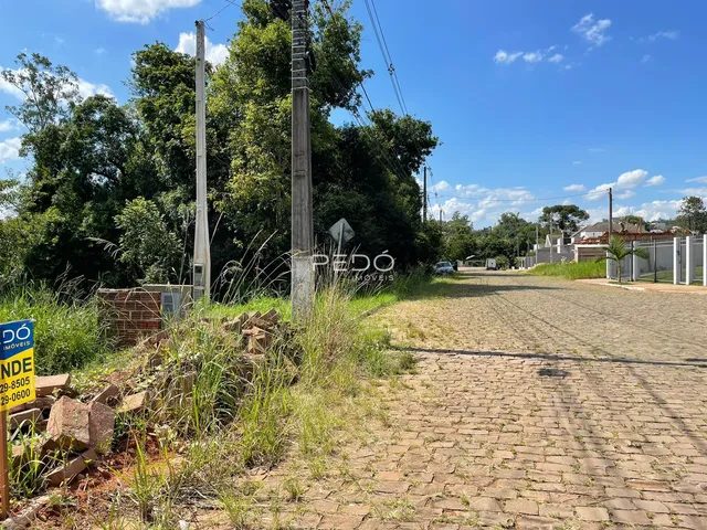 Vista externa de uma propriedade com vegetação densa e estrada de terra.