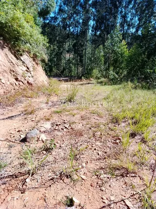 Área rural com 2 dormitórios, foto 17