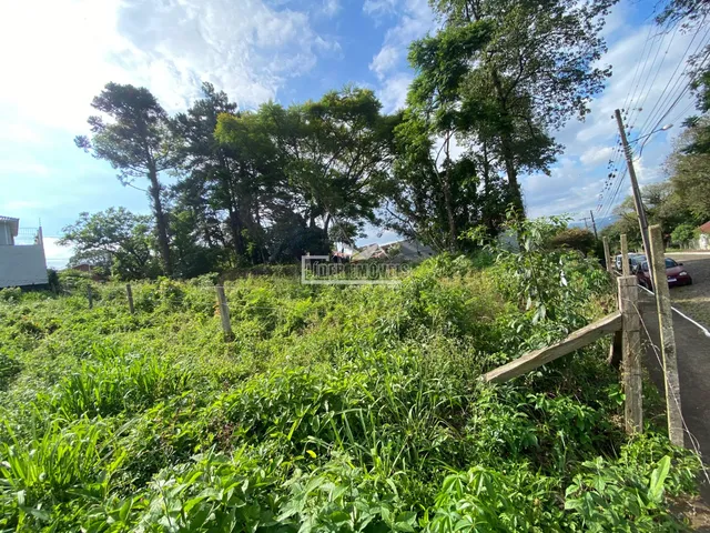 Terreno, foto 2