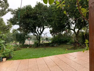 Vista externa de um jardim com gramado e árvores densas.