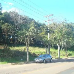 Terreno, foto 4