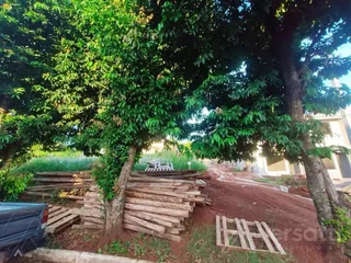Terreno, foto 2