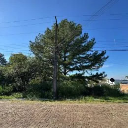 Terreno, foto 3