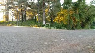 Terreno, foto 1