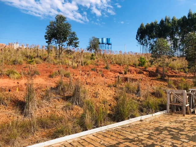 Paisagem de uma colina seca com vegetação rasteira e árvores ao fundo.
