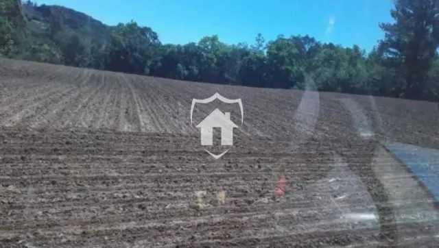 Área rural com 3 dormitórios, foto 5