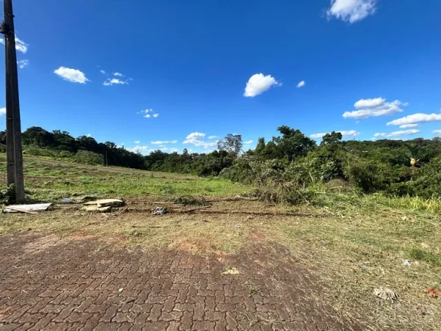 Terreno