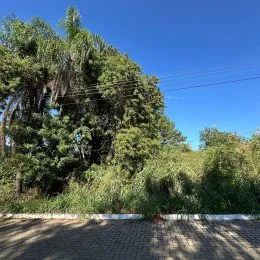 Terreno, foto 6