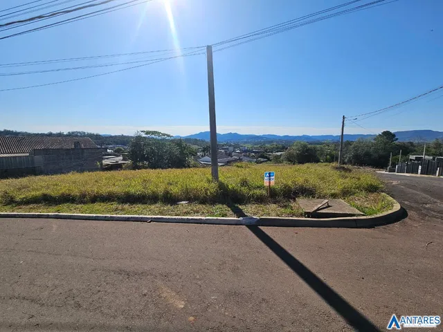 Vista externa da propriedade com vegetação e estrada no primeiro plano.