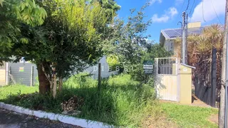 Terreno, foto 3
