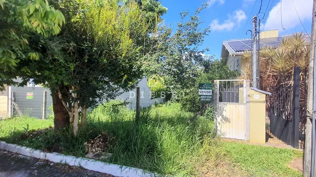 Terreno, foto 3