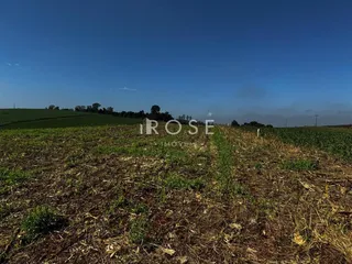 Área rural, foto 2