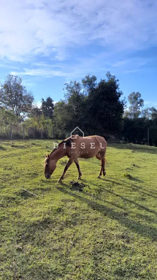 Área rural com 3 dormitórios, foto 1