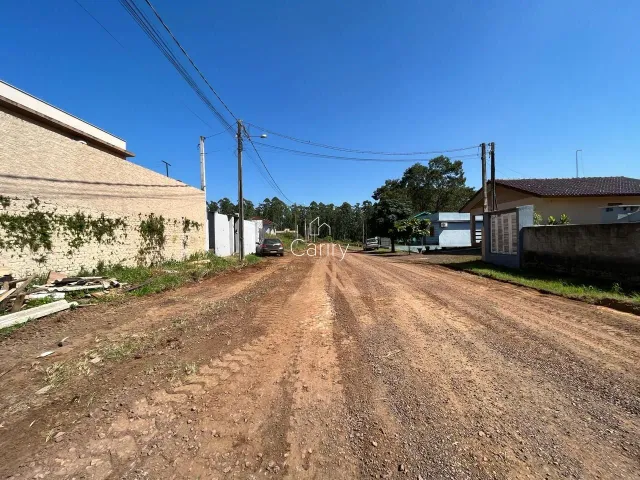 Terreno, foto 2