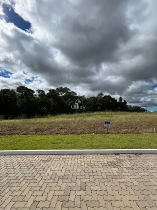 Terreno, foto 8