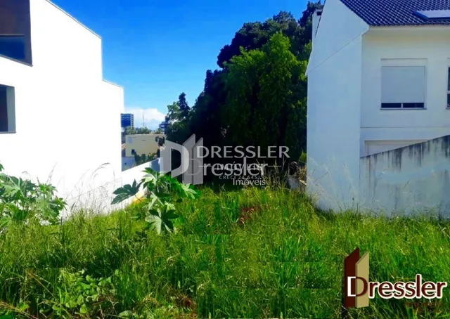 Vista externa de um jardim com grama verde e árvores.