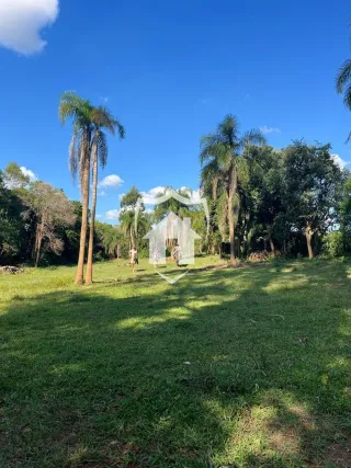 Vista externa de um campo gramado com palmeiras sob um céu azul.