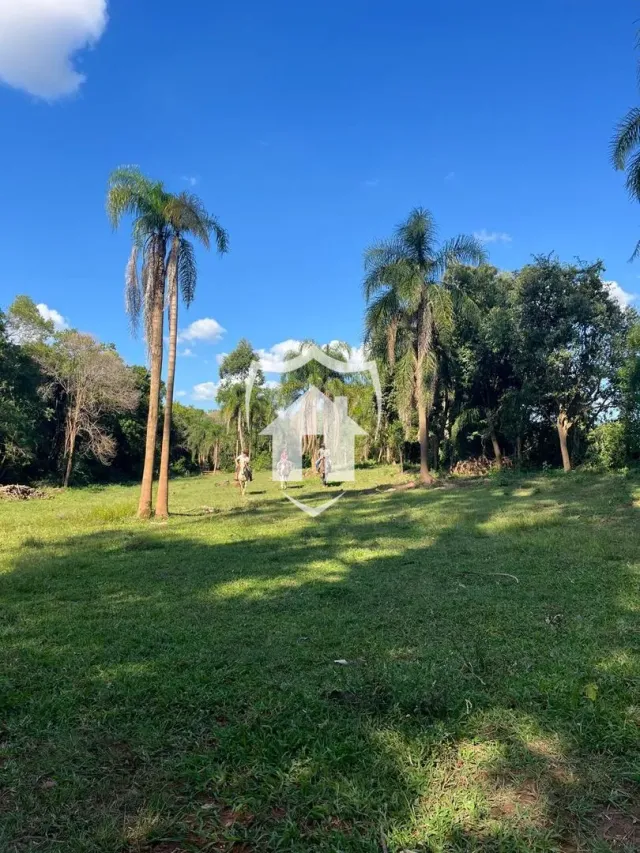 Vista externa de um campo gramado com palmeiras sob um céu azul.