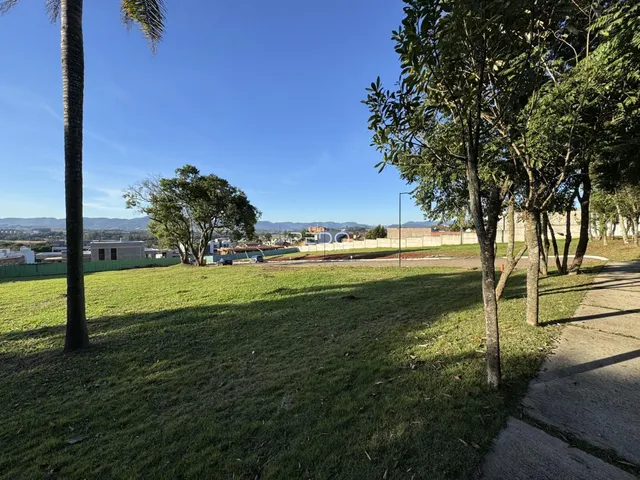 Vista de um gramado com árvores e paisagem urbana ao fundo.