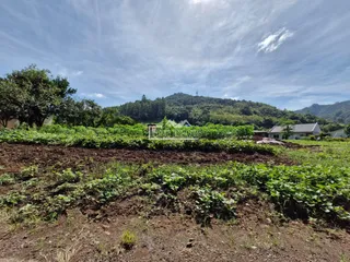 Terreno, foto 1