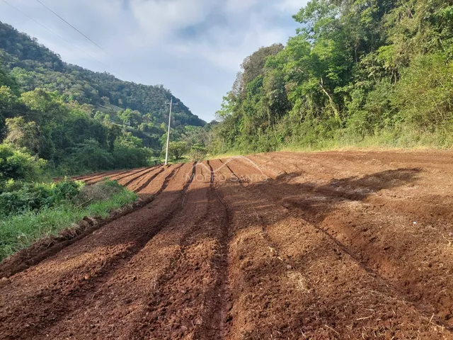 Área rural, foto 3