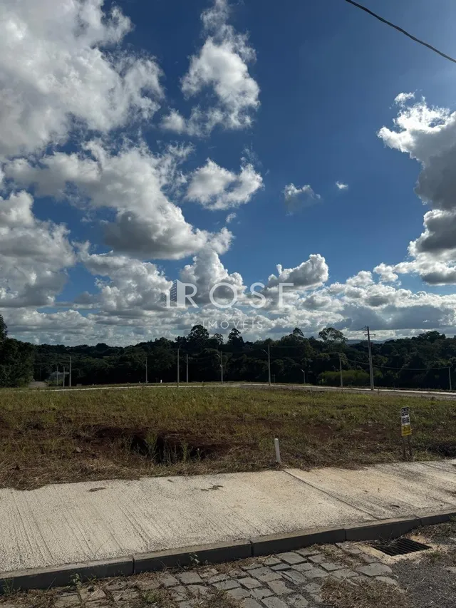 Terreno, foto 1