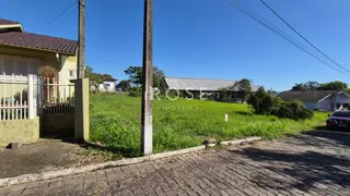 Terreno, foto 2
