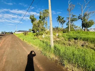 Vista da propriedade ao longo de uma estrada rural com vegetação alta.