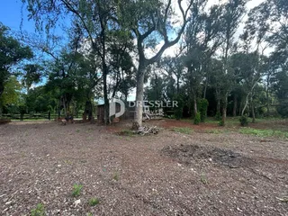 Vista externa de um terreno com vegetação e árvores.