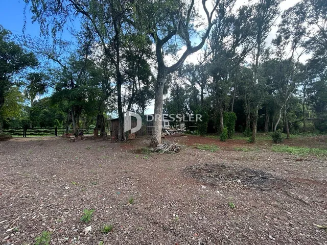 Vista externa de um terreno com vegetação e árvores.