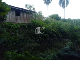 Área rural com 4 dormitórios, foto 11