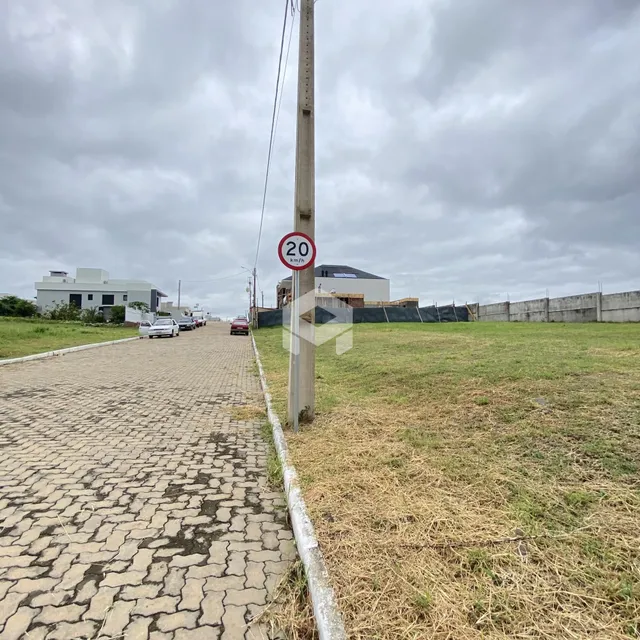 Vista da propriedade com uma estrada de paralelepípedos e gramado seco.