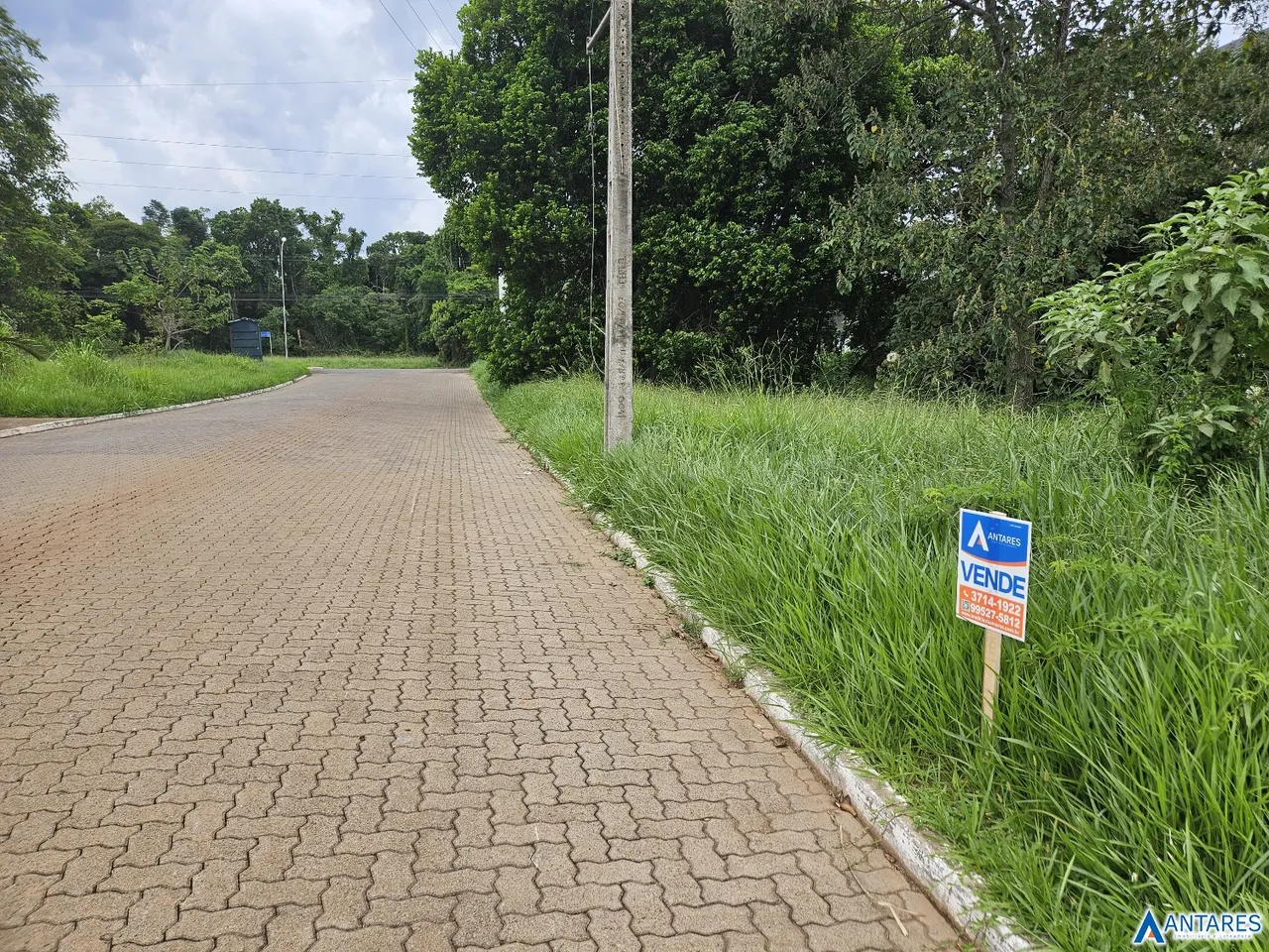 Terreno, foto 1