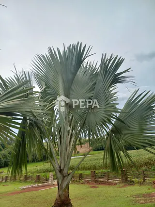 Área rural, foto 6