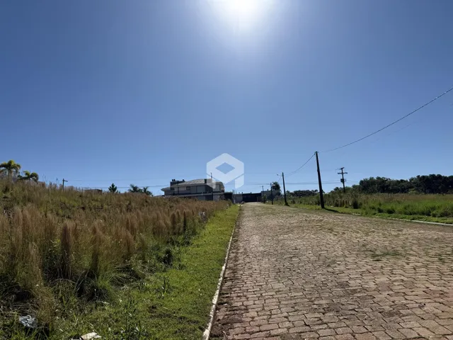 Vista de uma estrada de paralelepípedos em uma área de vegetação.