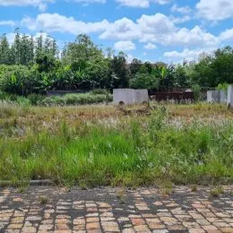 Foto de um terreno com vegetação alta e um caminho de paralelepípedos.