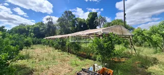 Área rural com 4 dormitórios, foto 12