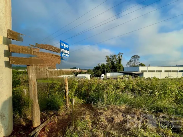 Terreno, foto 4