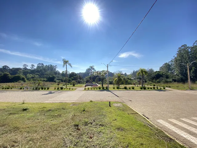 Terreno, foto 5
