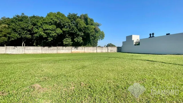 Terreno, foto 2
