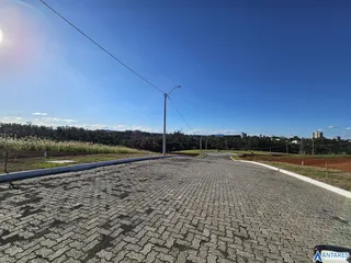 Terreno, foto 6