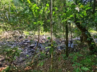 Área rural, foto 23