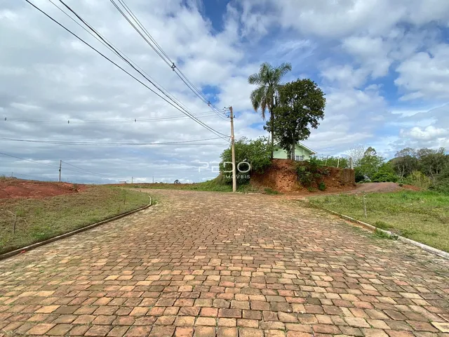 Vista da estrada de paralelepípedos que leva à propriedade em Lajeado.