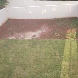 Casa com 3 dormitórios, foto 51