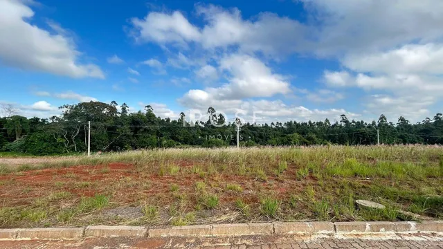 Terreno
