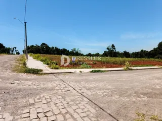 Terreno, foto 1