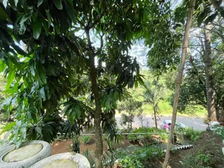 Casa com 3 dormitórios, foto 16